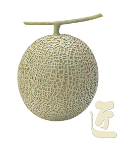 P84掲載　マスクメロン（上）（4個入）画像１