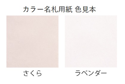P309掲載　カラー名札用紙・45×15用（50枚入×20包）スペック画像１