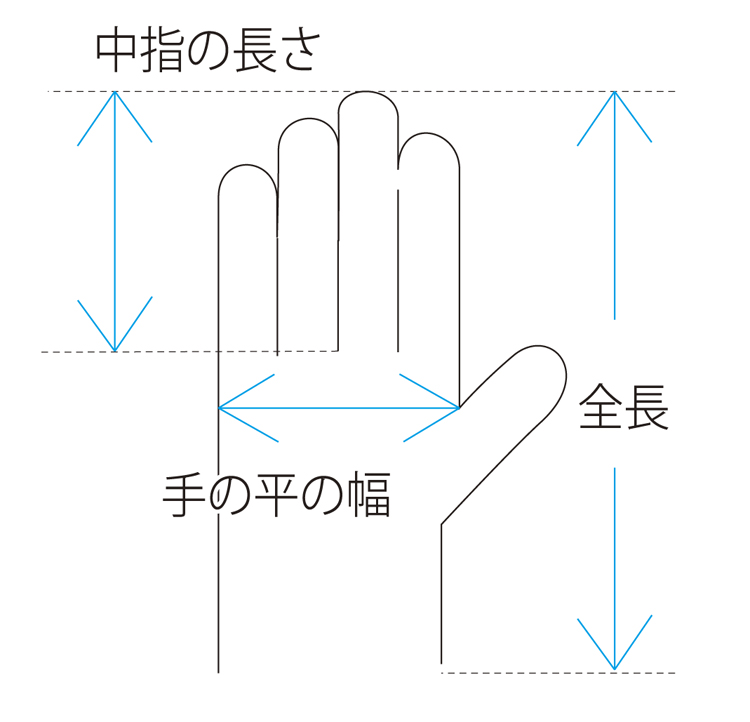 P350掲載　ビニール極薄手袋粉付・L　（100枚入）スペック画像２
